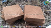 COCO gambut grosir Coco gambut blok untuk eksportir, distributor, dan pengecer kebun berkualitas tinggi
