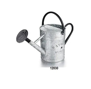 Galvanized Watering Can for Outdoor Indoor Plants Decorative Countryside Style <b>Water</b> Can Perfect for Indoor Plants & Garden - Product Image 1