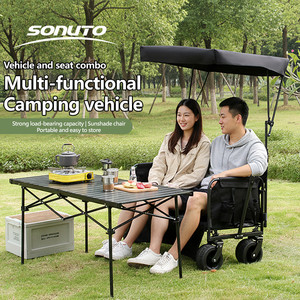 Chariot pliant robuste de 300 kg avec auvent et sièges pour le camping, les pique-niques, le shopping et le rangement, chariot de plage personnalisable OEM - Product Image 3