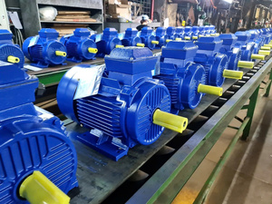 มอเตอร์ไฟฟ้ากระแสสลับกันหยด380V 50Hz 60Hz มอเตอร์แบบอะซิงโครนัสสามเฟส IP55แกนทองแดงจากเวียดนาม - Product Image 2