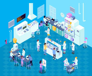 Desintegración de excelente calidad más vendida para aparatos para una estimación precisa del tiempo de desintegración de tabletas diseñada para dos - Product Image 4