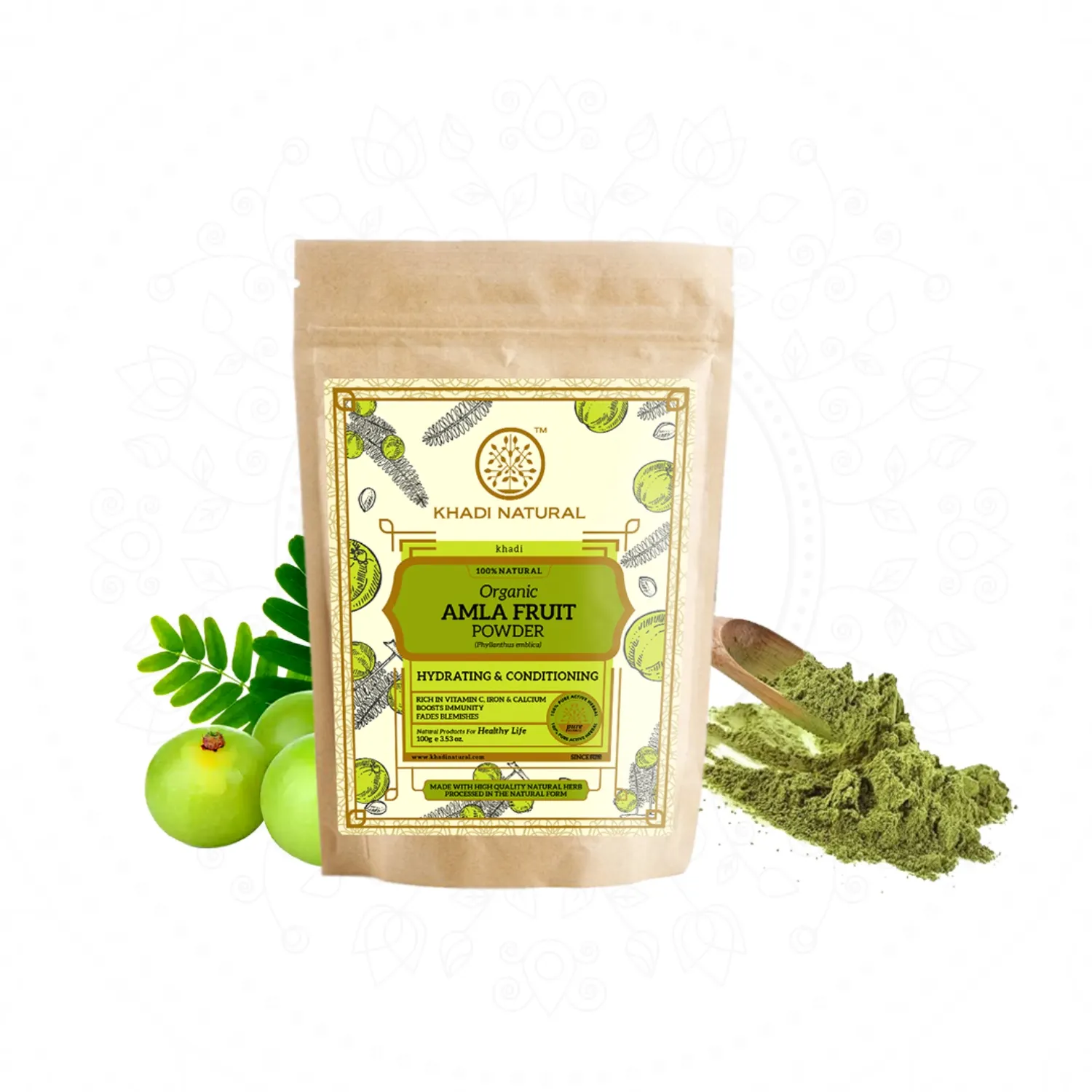 Khadi Natural Amla Fruit Organic Powder(100g) Prevents Hair Loss Premature Greying and Infections Best Hair Powder