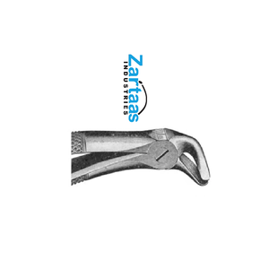 Pinzas de Extracción de Acero Inoxidable de Alta Calidad, Figura 11, Fabricante y Exportador de Instrumentos Dentales - Product Image 1