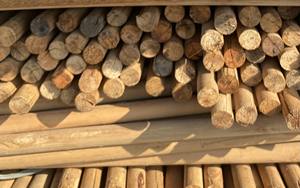 Palo de escoba de madera y plástico con juego de recogedor, herramienta de limpieza Manual para uso doméstico, cabezal de escoba de acero y artículos para el hogar - Product Image 3