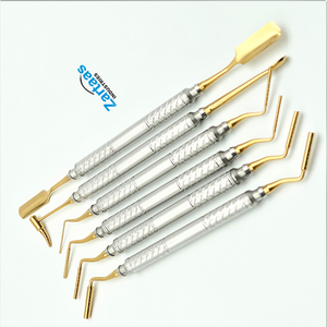 Conjunto de instrumentos de injerto de hueso dental de alta calidad Fabricante y exportador de Instrumentos dentales - Product Image 4