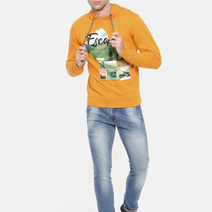 Venta al por mayor personalizado impreso 100% algodón poliéster hombres Sudadera con capucha de gran tamaño otoño ropa deportiva con impresión digital - Product Image 4