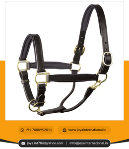 Produits pour chevaux personnalisés styliste tête de cheval licou en cuir rembourré de l'Inde pliée - Product Image 3