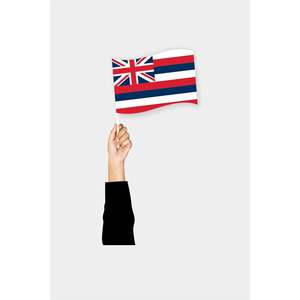 Drapeau Hawaïen 3x5 pieds en satin, nylon, polyester, vinyle, soie, imprimé numériquement, drapeau mondial, assurance automobile, aluminium - Product Image 6