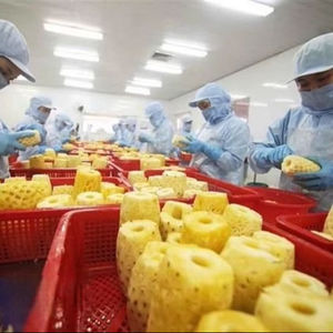 Ananas en conserve de haute qualité du Delta du Vietnam, tranché dans du sirop, très bon goût, 3 kg, durée de conservation de 1 à 1,5 an, Hazel - Product Image 2