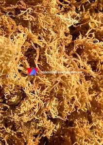 เครื่องเย็บแบบไอริชแห้งจากเวียดนาม/มอสไอริชผลิตภัณฑ์เสริมอาหารวีแกนผลิตภัณฑ์เสริมอาหาร shyn Tran - Product Image 3