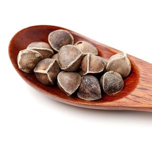 Graines de moringa les plus vendues à prix compétitif, vente en gros de graines de moringa oleifera pour les acheteurs en vrac - Product Image 2