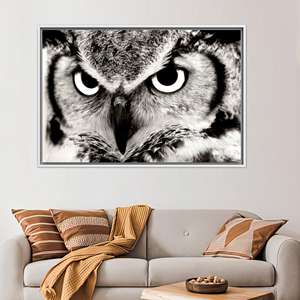 Elegante lienzo decorativo para pared con diseño de búho, diseño impreso, regalo personalizado, 1 pieza: con marco blanco - Product Image 1