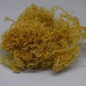 OEM PACKAGING IRISH <b>MOSS</b> PURE NATURAL BULK ORDERS - Product Image 4