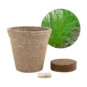 Gadget Semi-Biodegradabili Eco-Friendly, Vaso per Paprika Ecologico per Fioriere e Vasi da Giardino - Product Image 2