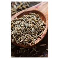 Graines de cumin vertes séchées AD, naturelles, saines et pures, de haute qualité, d'origine Brésilienne FENICIA, durée de conservation de 2 ans, 1 kg - Meilleures ventes