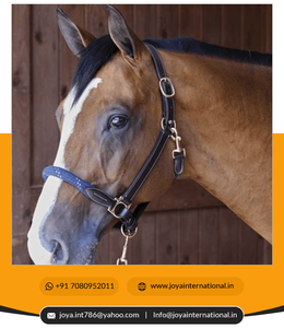 Halter en cuir naturel fabriqué avec Smart Lead & Rope Premium Halters Vente en gros - Product Image 3