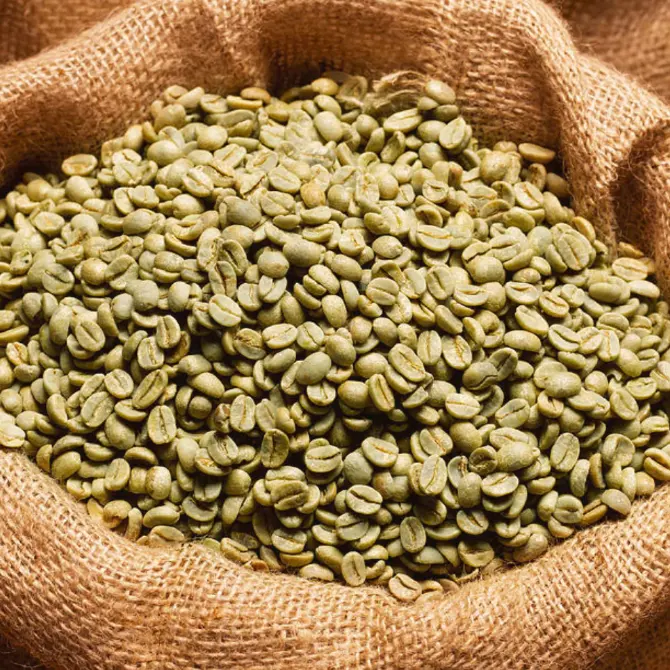 فيتنام روبوستا غسلها عملية الفاصوليا الخضراء-صناديق تعبئة القهوة الممتازة عالية الجودة جاهزة للتصدير