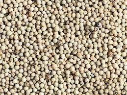 Pimienta Blanca Molida al por Mayor en Venta - Product Image 5