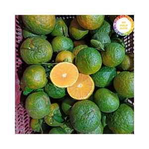 Naranja Fresca de Vietnam con Cáscara Verde, Empacada como Naranja Fresca con Cáscara Verde, Ideal para Smoothies, Preparación de Postres y Venta al por Menor - Product Image 5