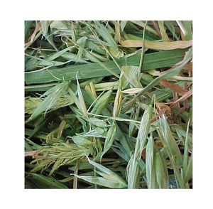 Foin d'avoine à vendre à bas prix, foin de haute qualité parfait pour les lapins, les cochons d'Inde et les petits animaux de compagnie avec des avantages nutritionnels - Product Image 6