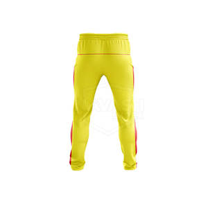 Vêtements de sport légers de haute qualité à prix avantageux, nouvelle conception, design personnalisé, uniforme de cricket 2025 - Product Image 6