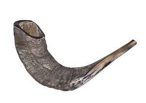 Shofar en corne de bélier naturelle de haute qualité, artisanal, traditionnel, design Art Déco, durable pour usage extérieur et décoration - Product Image 6