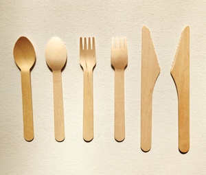 Cuchara de madera desechable de madera de abedul con estilo, utensilios de plástico natural biodegradables ecológicos para uso diario y fiestas, eventos - Product Image 1