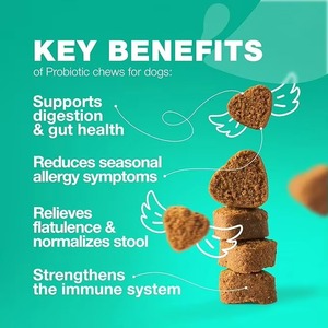 Suplemento Probiótico <span class=keywords><strong>para</strong></span> Mascotas OEM/ODM <span class=keywords><strong>para</strong></span> <span class=keywords><strong>Perros</strong></span> y Gatos, Refuerza el Sistema Inmunitario, Promueve la Salud Intestinal, Masticables Blandos con Vitaminas y Minerales - Product Image 3