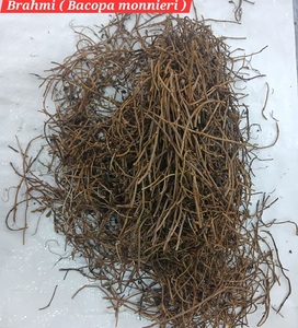 Dried Brahmi Herb Whole <b>Plant</b> | Pure Ayurvedic Raw Material | Bulk Wholesale India - Product Image 4