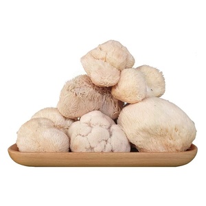 แผงคอสิงโตมีสารสกัดจากผลไม้เห็ดสีน้ำตาลเหลืองสำหรับใช้เป็นยา - Product Image 2