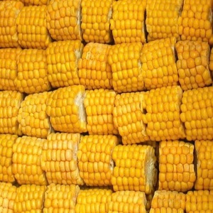 Proceso de congelación Maíz entero Maíz congelado de Vietnam con 12 meses de vida útil - Product Image 2