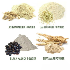 Precio barato 100% Pure Natural Safed Musali Powder Polvo de Musali de Safed orgánico de grado alimenticio de alta calidad de la India - Product Image 6