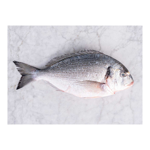 Pide besugo rojo congelado en línea, pescado salvaje de primera calidad, perfecto para Cocinar en casa o restaurantes - Product Image 5