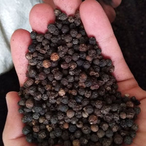 Poivre noir Produit agricole 10-25 kg par boîte Durée de conservation de 2 ans Origine identifiée - Product Image 1