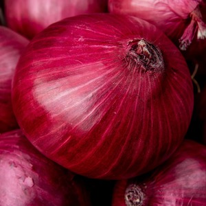 Oignon rouge frais pour usage industriel parfait pour la déshydratation de la transformation des aliments et la production de poudre pour la vente en gros - Product Image 2