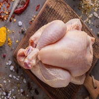 Vente en gros de pieds de poulet halal / pattes de poulet congelées du Brésil / ailes et pattes de poulet fraîches