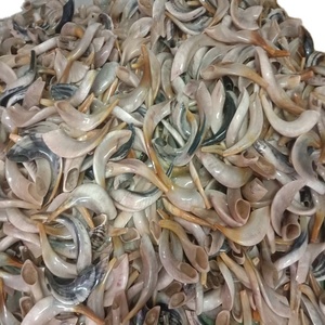 ขนแกะขนาดเล็กขัดมันเทคนิครูปสัตว์สไตล์ทะเล - Product Image 1