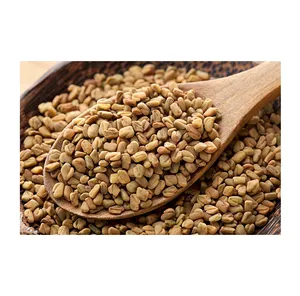 Énorme vente de qualité optimale largement vendu graines de fenugrec crues et séchées disponibles en sac de 20kg, 25kg,50kg