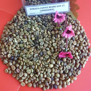 AA Grade Robusta <b>Coffee</b> <b>Beans</b> Dry Processed 18 Screen Vietnam Green <b>Roasted</b> Vilaconic Brand 60kg Jute Packed +84398885178 - Product Image 6