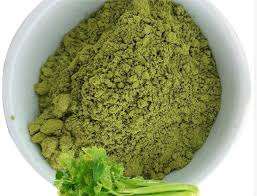 CONCENTRADO DE APIO PLANTA NATURAL - Product Image 2