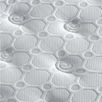 Matelas en mousse orthopédique hybride personnalisé de haute qualité Ressort ensaché Design moderne pour l'école l'hôpital Utilisation en plein air à la maison