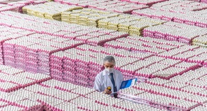 Œufs de poule frais naturels de qualité supérieure en gros, jaunes d'œufs riches en protéines, qualité alimentaire, service OEM en vrac à vendre - Product Image 6