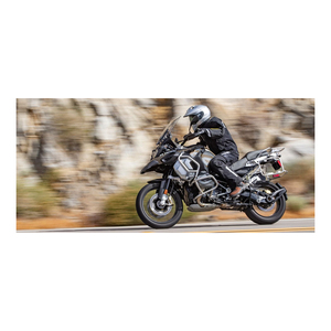 Bastante usado Precio directo de fábrica Excelente diseño Clásico Retro Adulto Bmw R 1250 GS (2018-2024) - Product Image 4