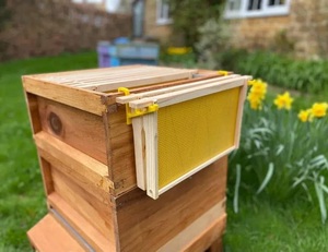 Nueva Colmena Nuc de 5 Marcos para Abejas Langstroth, Kit Completo con Construcción de Metal y Bambú, 1 Año de Garantía - Product Image 1