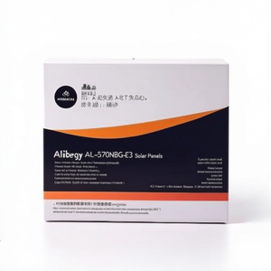 Panneau solaire Alily Energy AL6-570NBG-E3 - Product Image 2