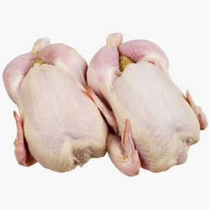 Cuisses de poulet de haute qualité, viande de volaille surgelée IQF avec conservation au vinaigre, emballage en vrac pour les marchés de détail mondiaux - Product Image 6