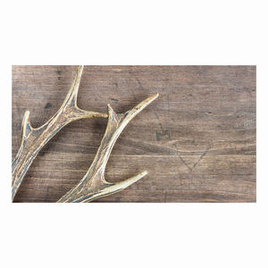 Bois de cerf naturel à vendre à prix de gros, source éthique et de haute qualité - Product Image 5