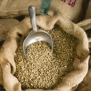 Granos de Café Verde Robusta de Alta Calidad de Vietnam, Tamaño 18, 100% Natural, Certificado por el USDA, Marca TNFOOD, Grado G1/G2, 1000 kg - Product Image 6