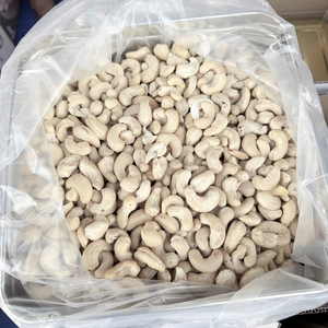 Venta caliente Mejor tarifa Anacardos crudos al por mayor 160 180 240 Color blanco Santigo Factory Private Label Packaging disponible - Product Image 1