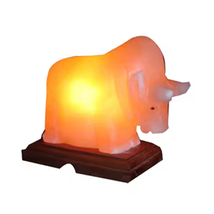 Lámparas de sal con forma de animales Feng Shui hechas a mano del Himalaya, logotipo personalizado de buena venta, servicio OEM, decoración del hogar - Product Image 2